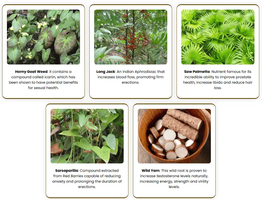 mens growth ingredients